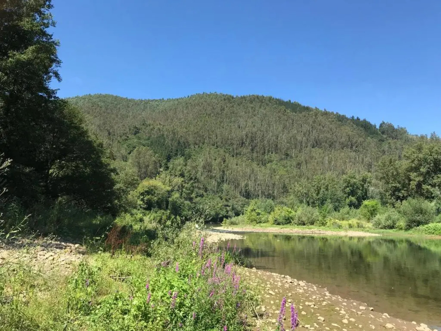 El reguero de Villamarín