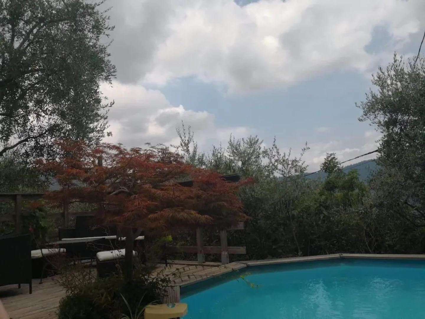 Oliveraie de la Leuziere