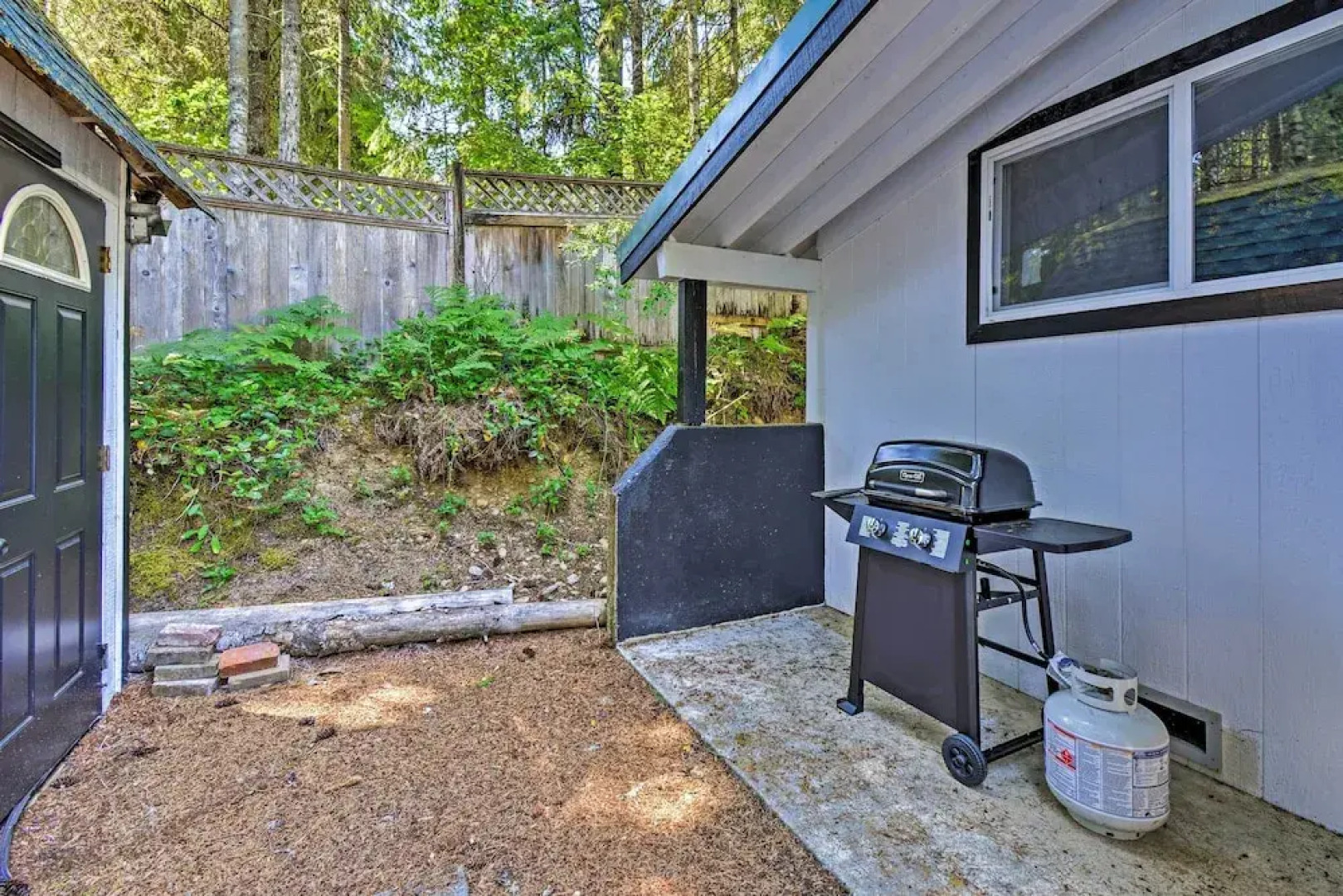 Quaint Lake Cushman Cottage w/ Private Access!