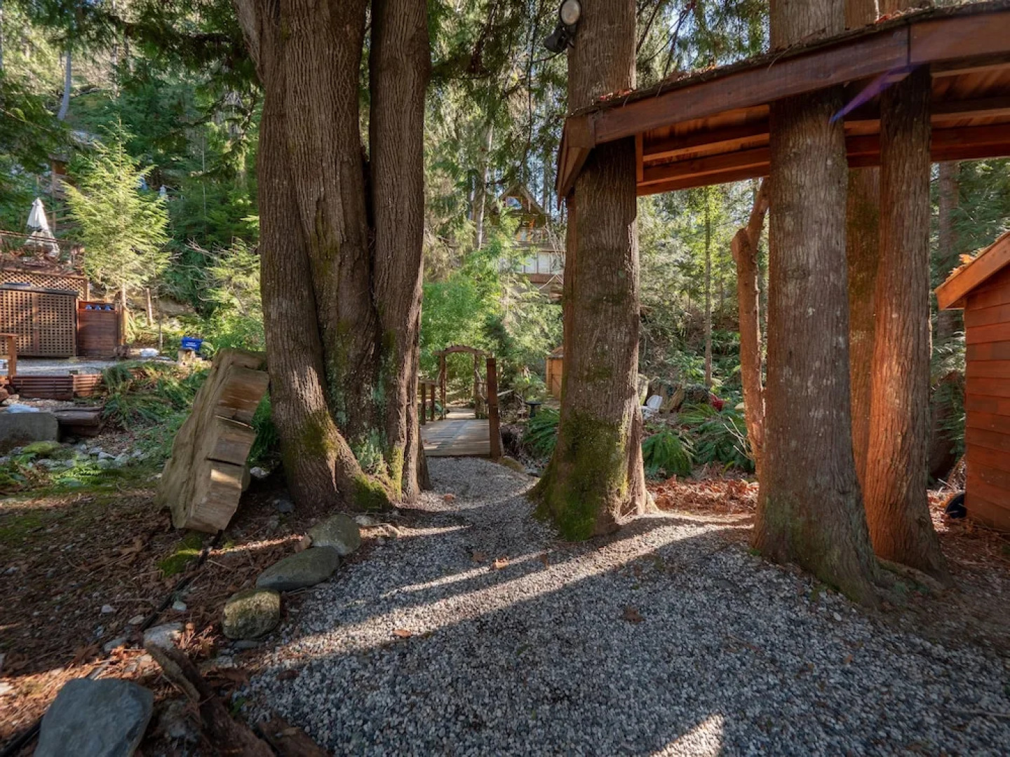 The Tree House Cottage