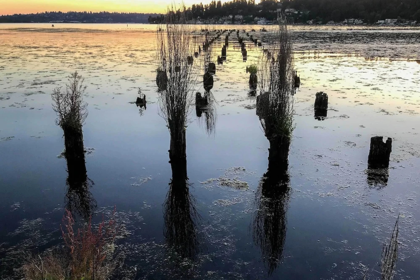 2 Mi to St Edward State Park: Ground-level Studio