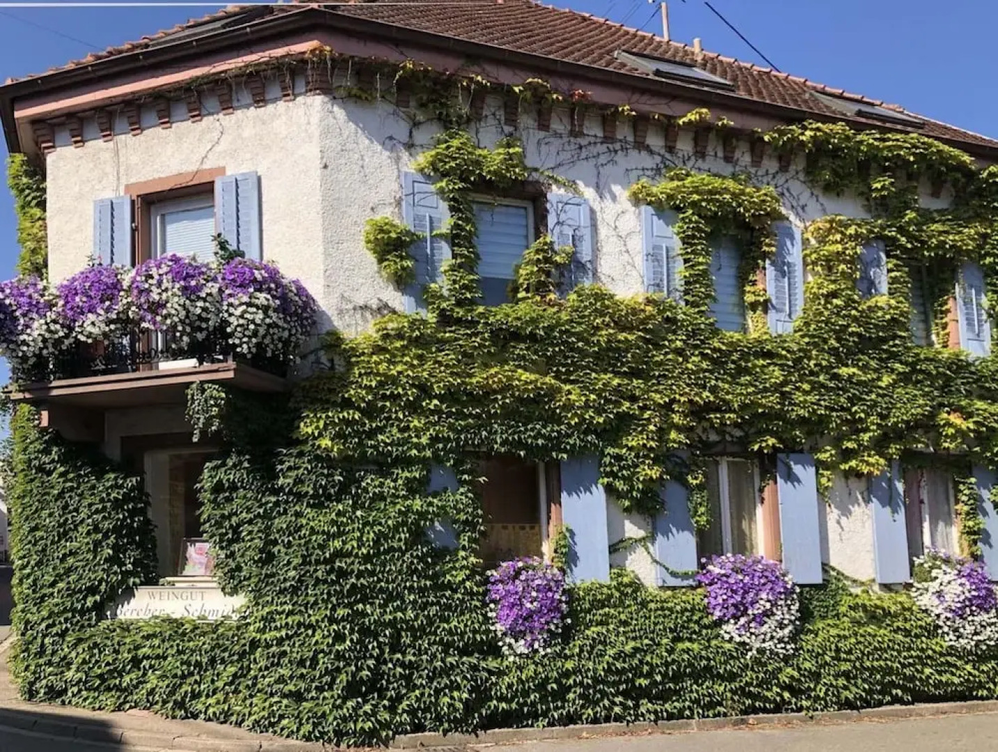 Weinberg-ferienwohnung, Oberrotweil