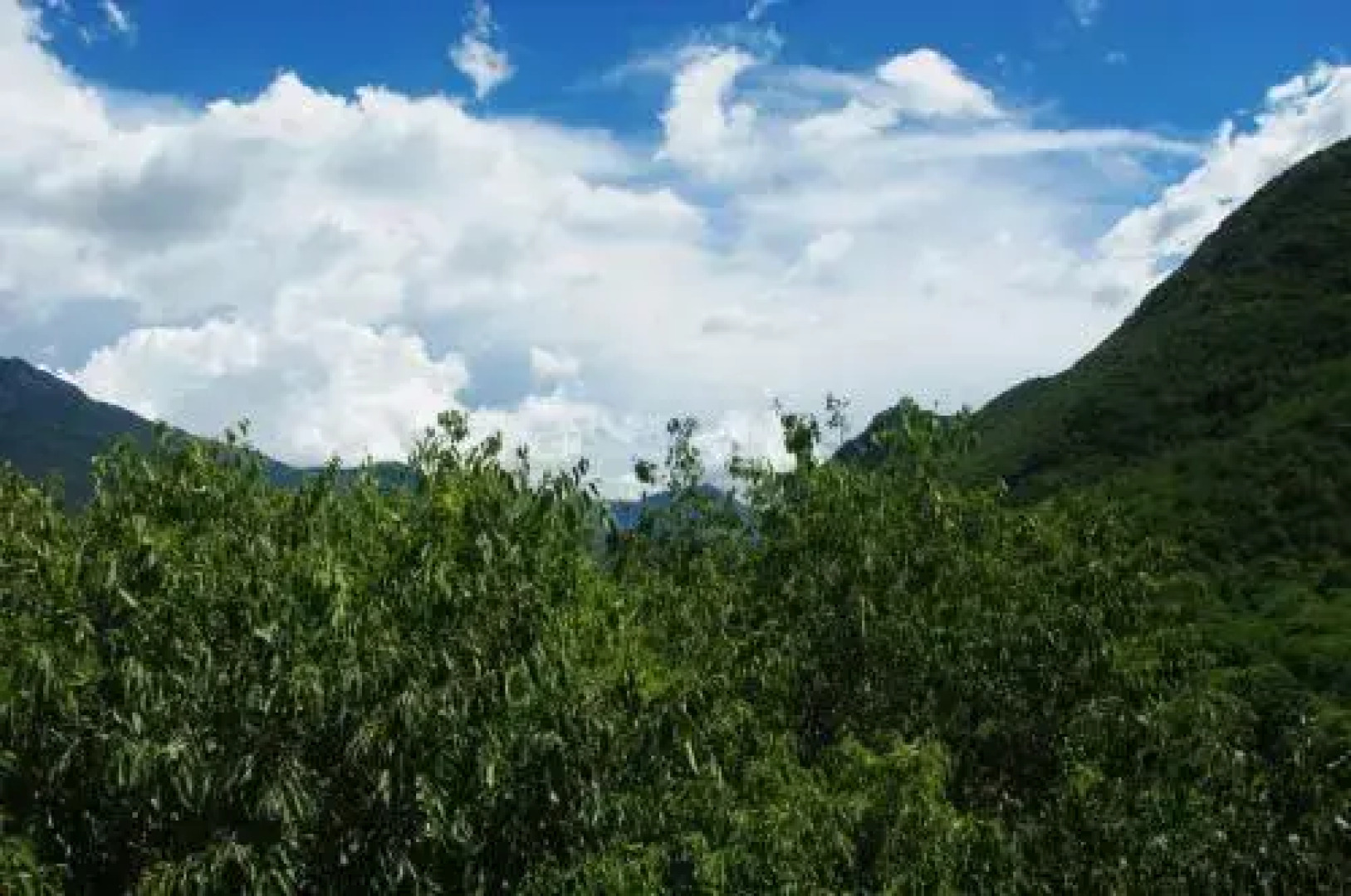 B&B Sanpancrazio Vaie