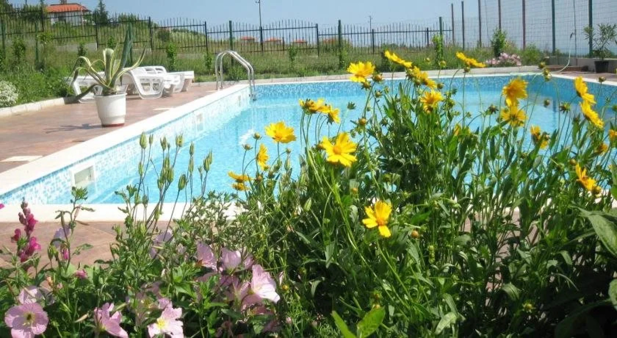 Belvedere Guest House