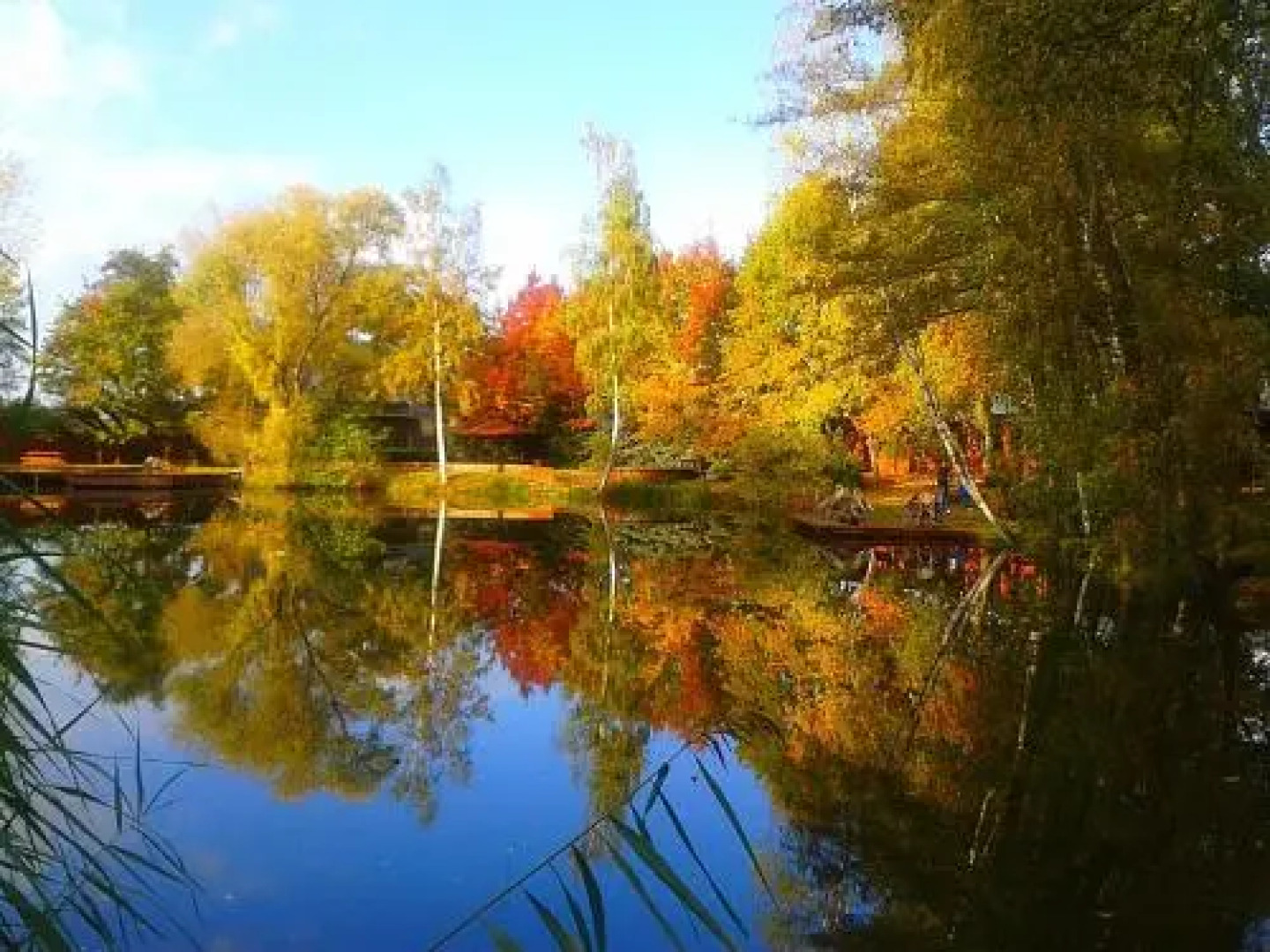 Rybolov pro děti a dospělé