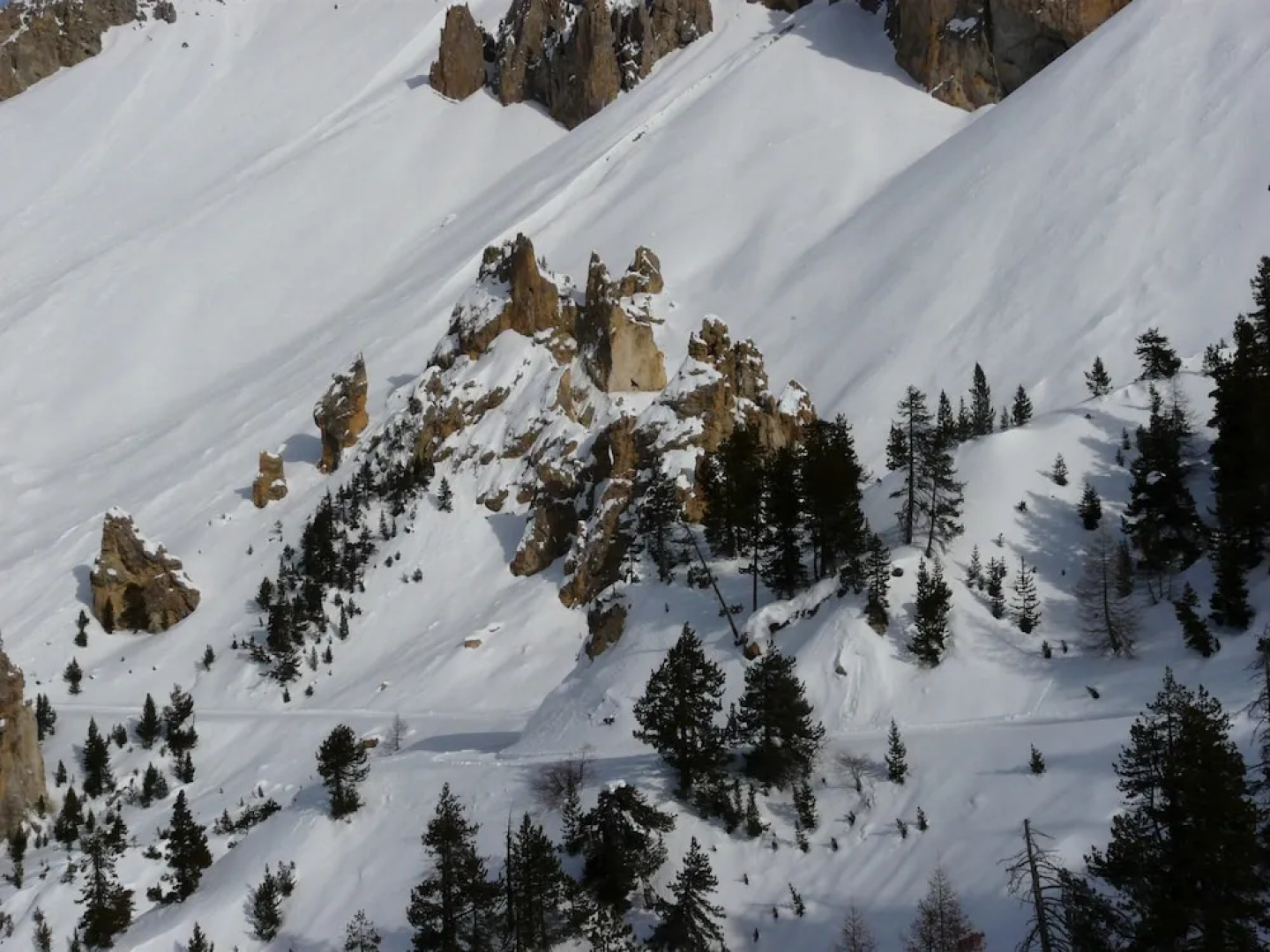Le Chamois
