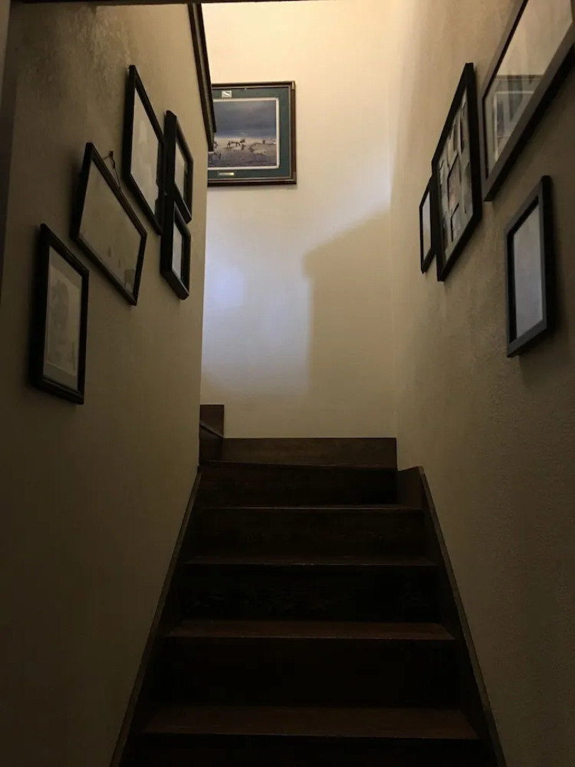 Little Trail Creek Cabins