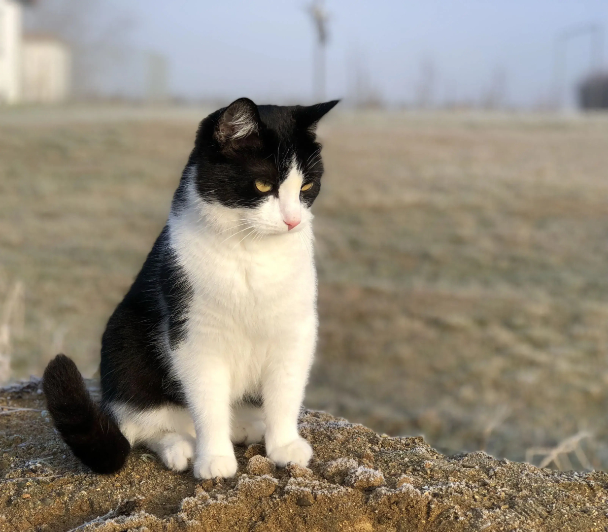 Tryde 1303 B&B på Österlen