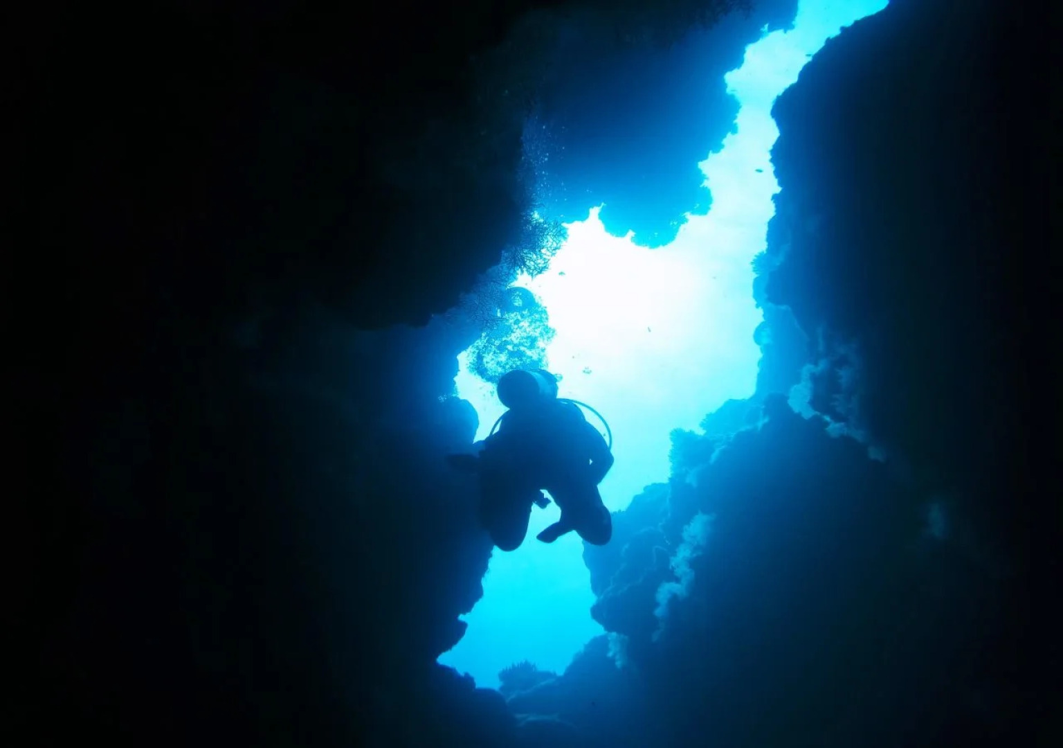 Mai Dive Astrolabe Reef Resort