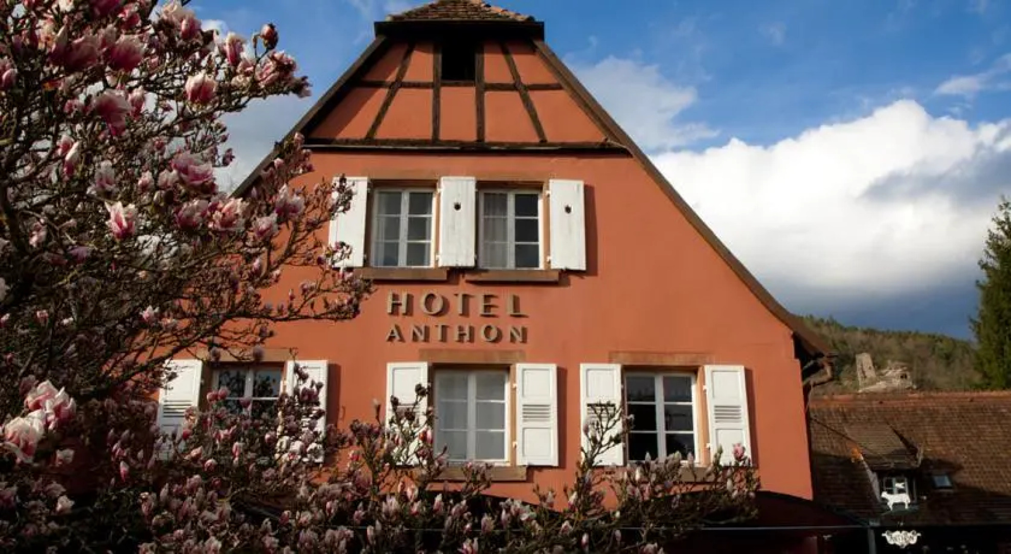 Hôtel Restaurant Anthon