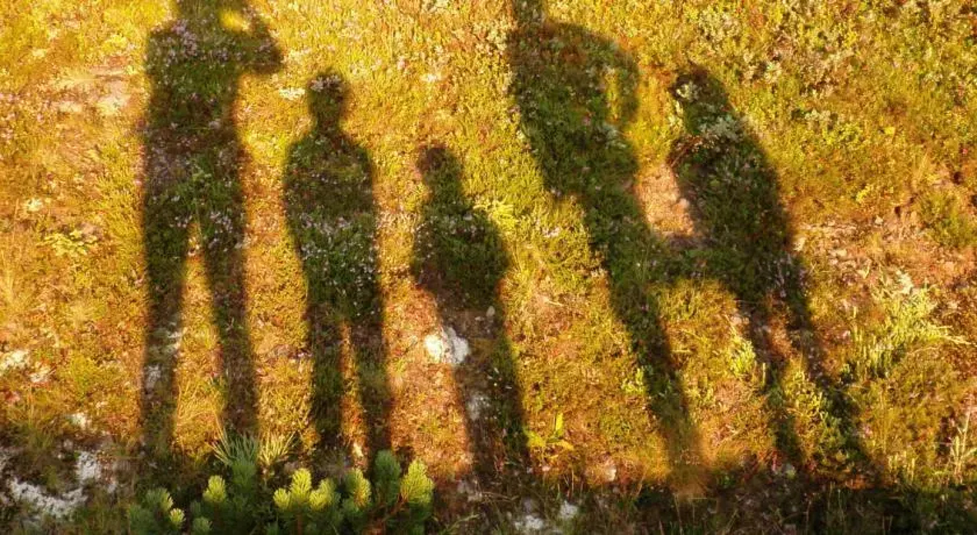 Bio Bauernhof Brandgut