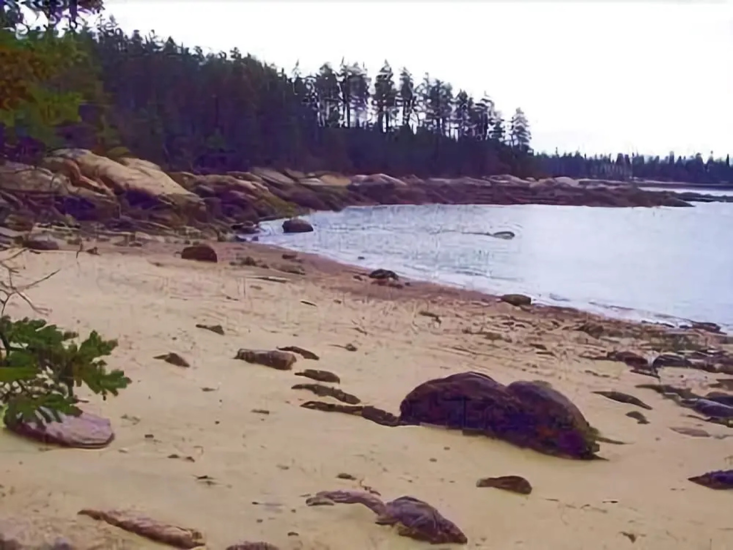 Wolfhound Cottage - One Bedroom Home