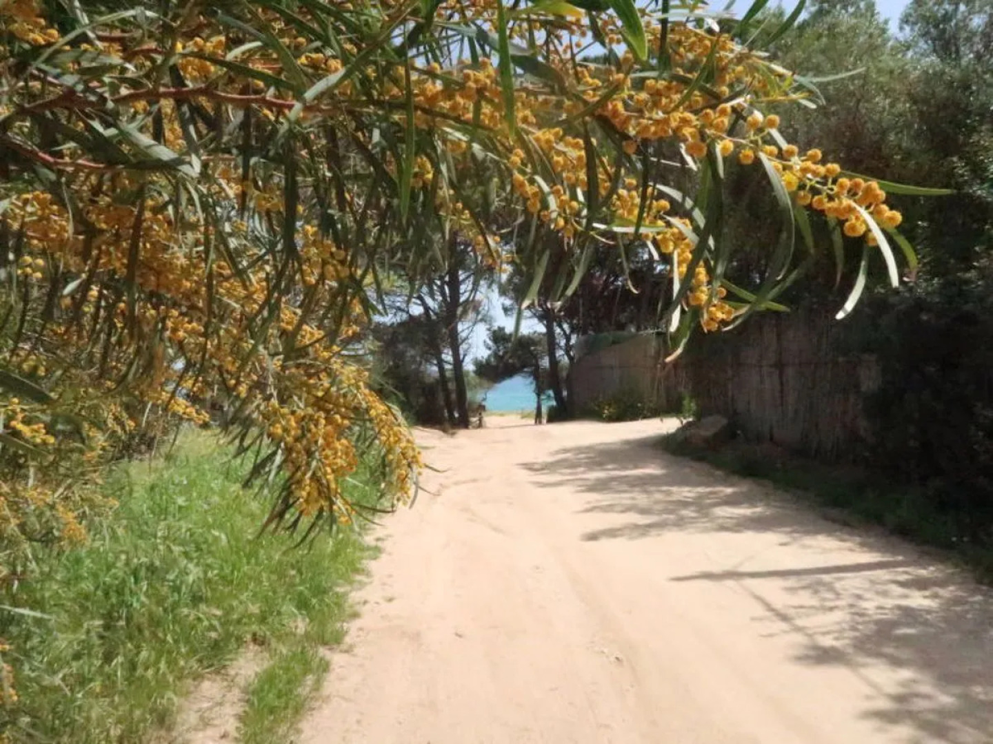 Locazione turistica Surphinia