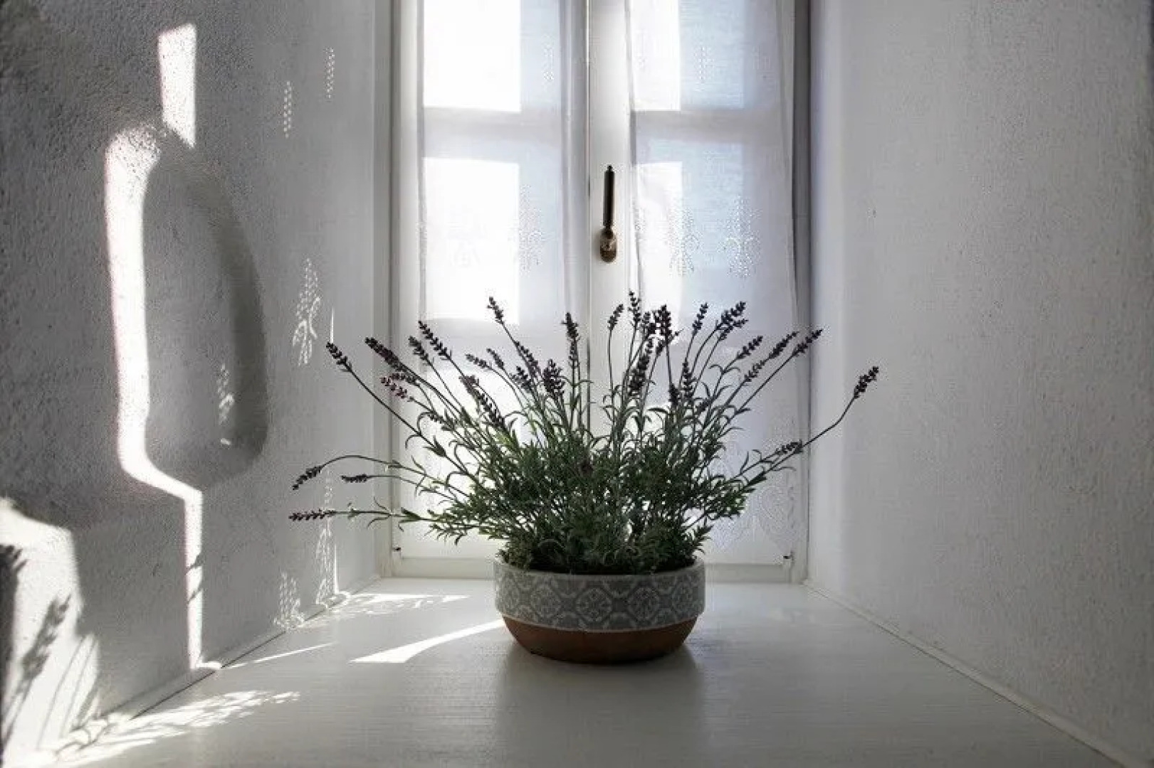 Orologopoulou Mansion Kastoria