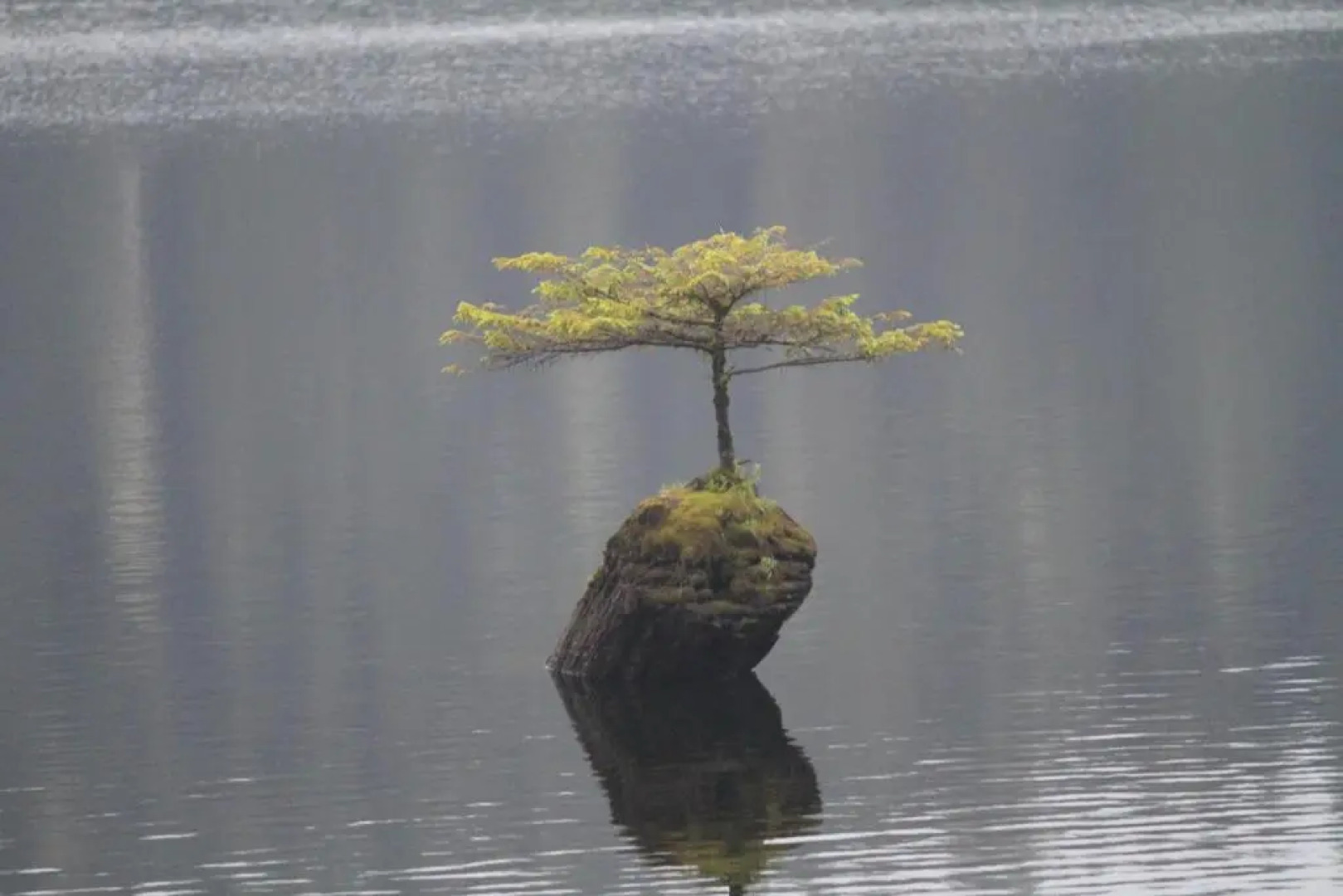 Tilby's Rainbow Cottage