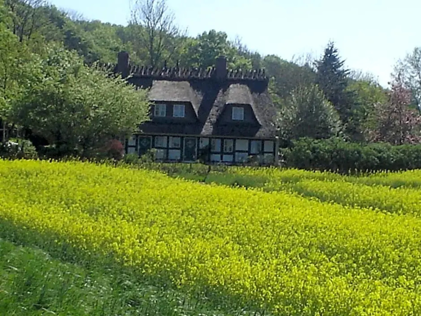 Ferienlandhaus Steinfeld