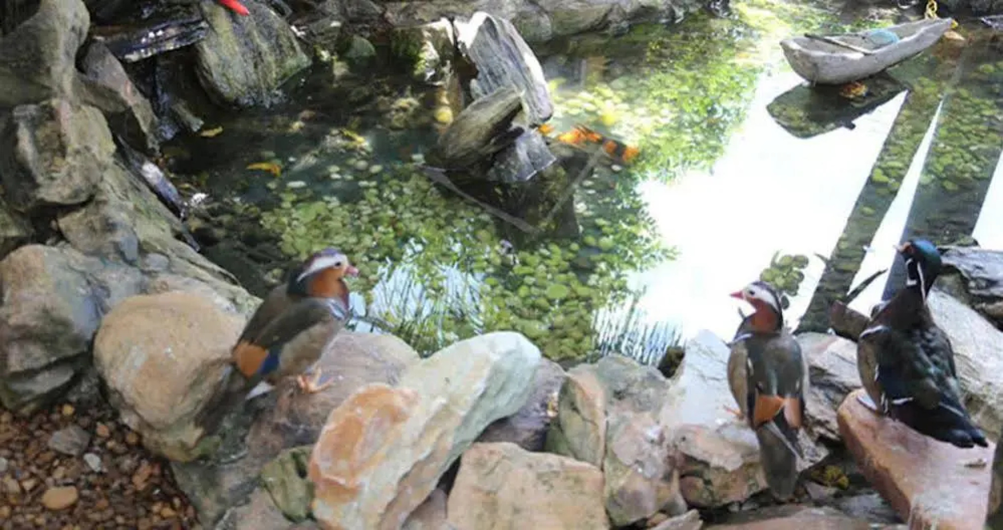 Pousada Infinito Absoluto