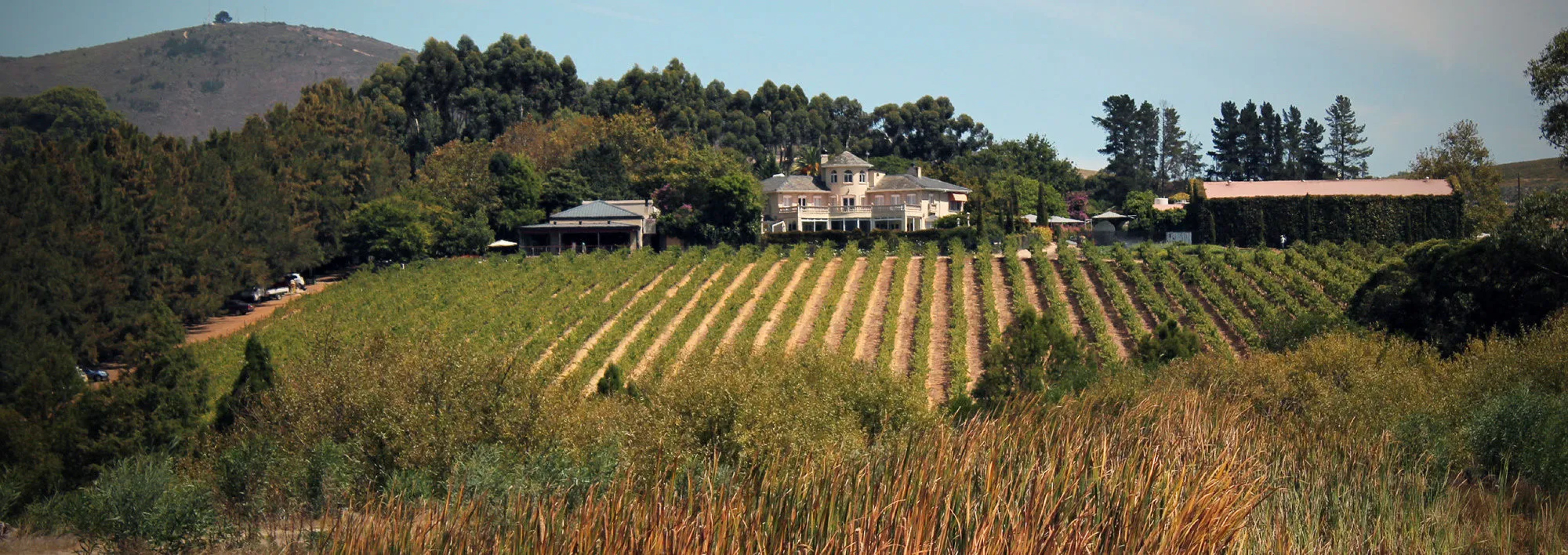 Clos Malverne Wine Estate Accommodation