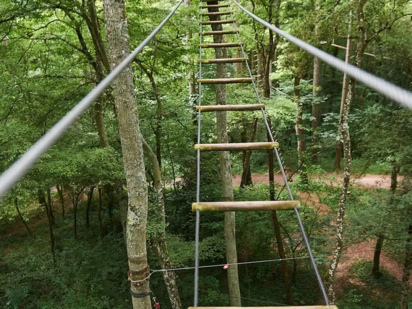 Comfortable Cottage With a Fireplace Nearby a Forest