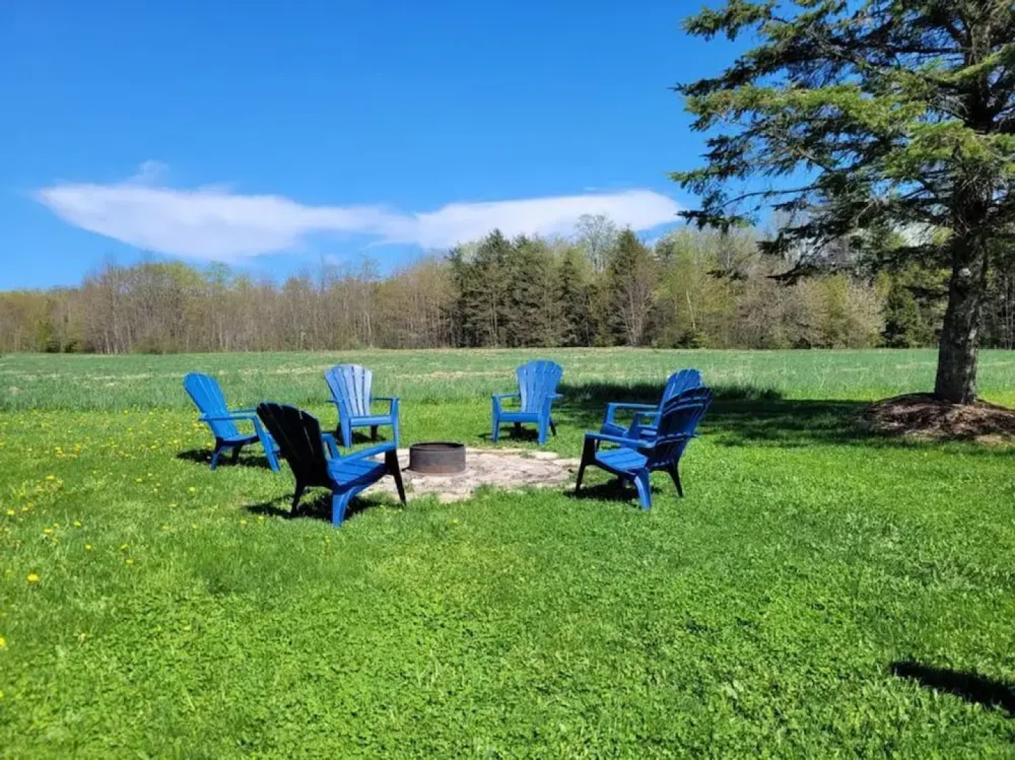 Family Friendly Cottage Walking Distance to Lions Head Beach