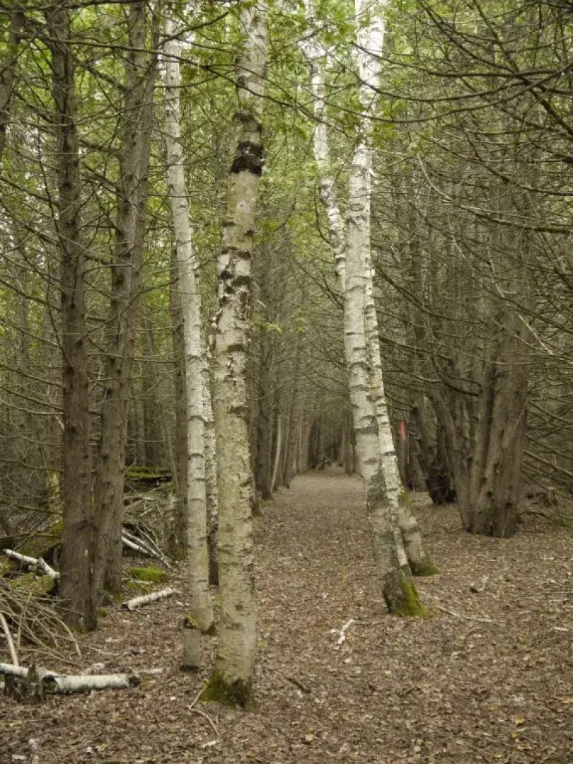 Thirteen Moons - Women's Wellness Retreat