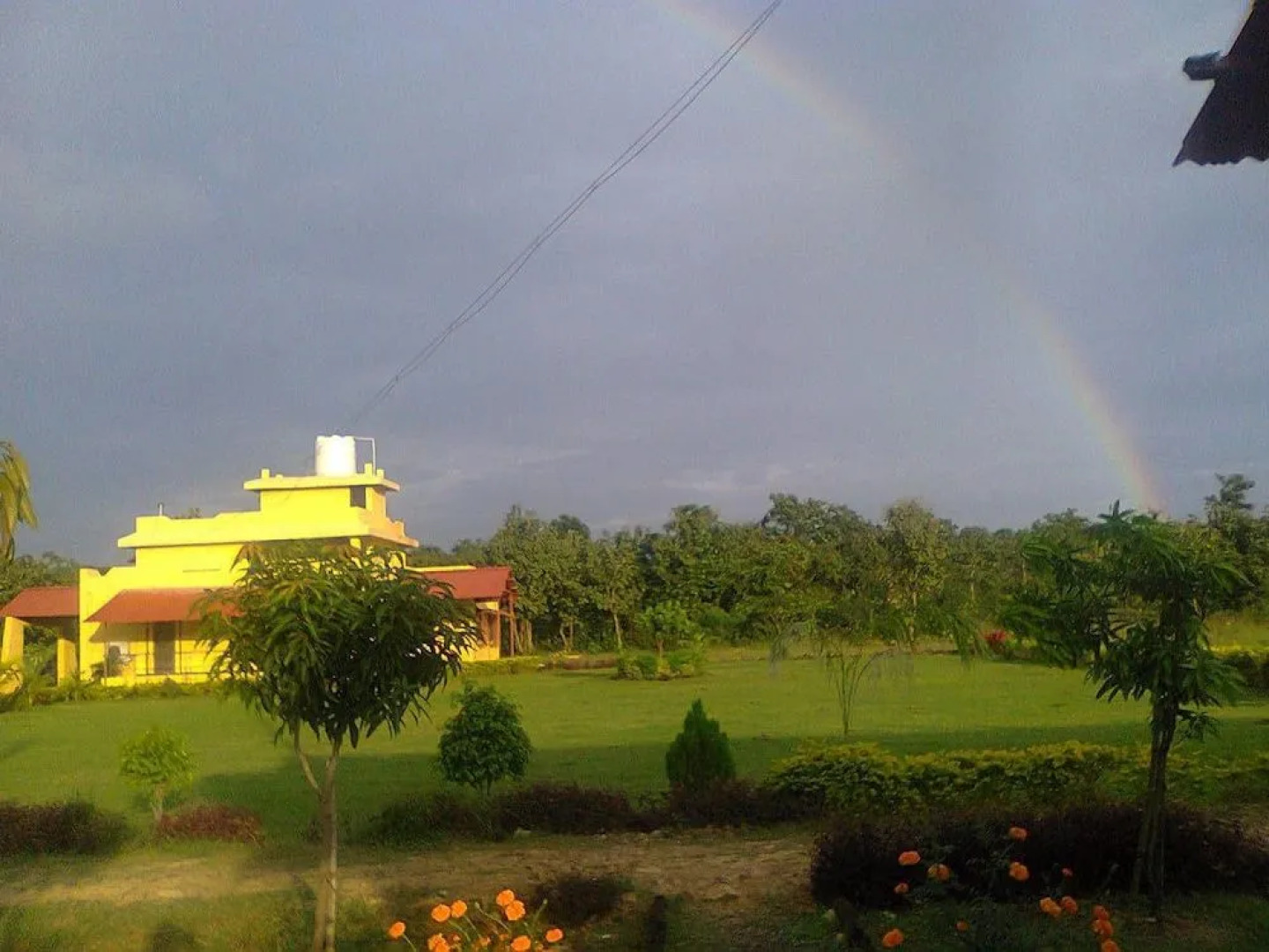 Tigers Heaven Resort