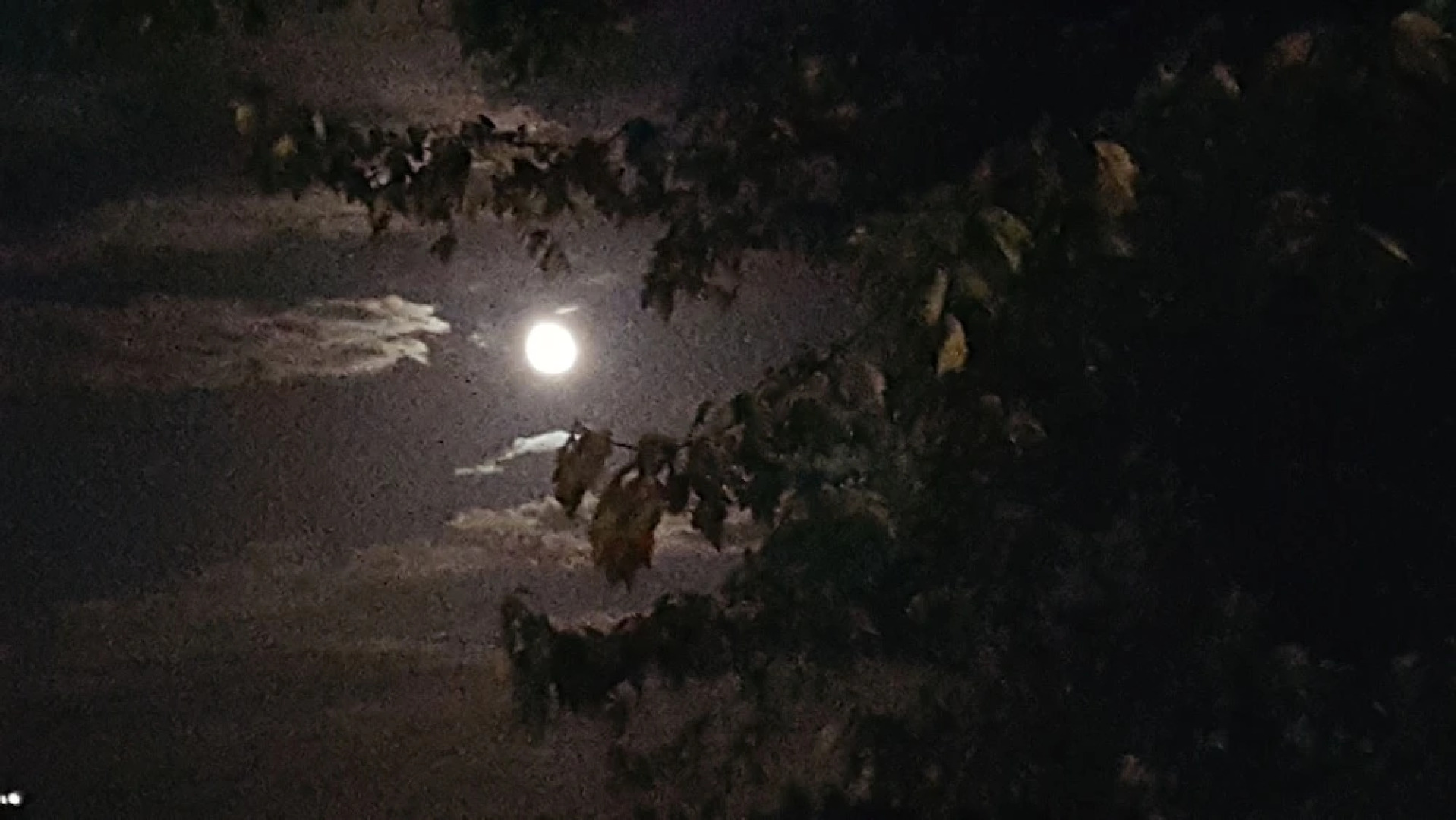 Hubers INN Port Townsend