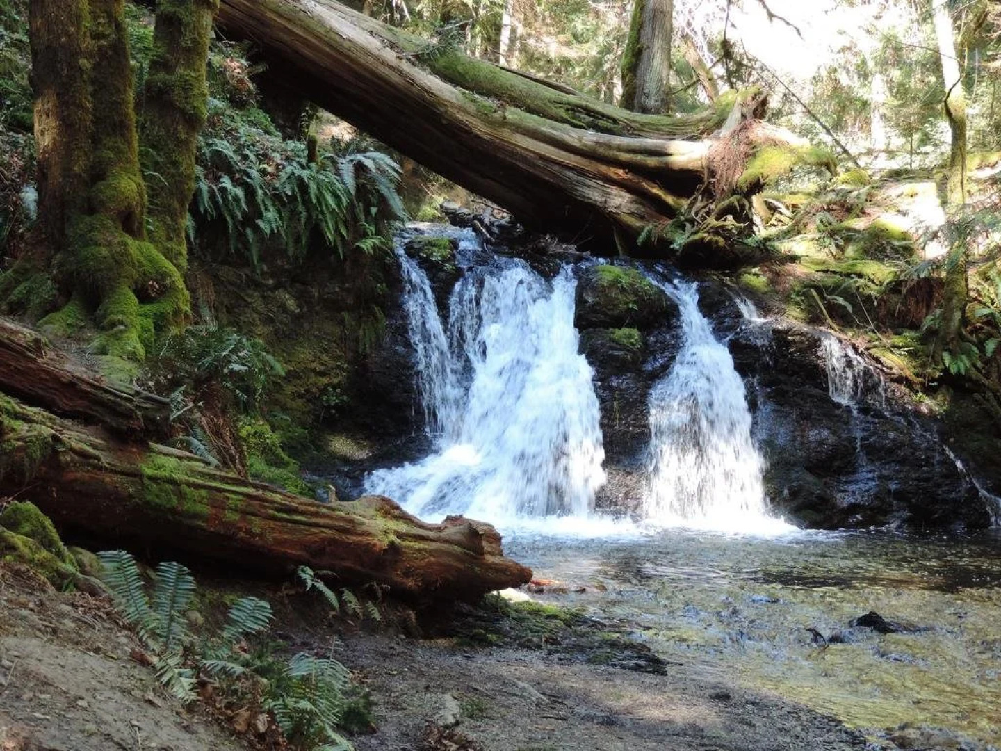 Otters Pond Bed & Breakfast