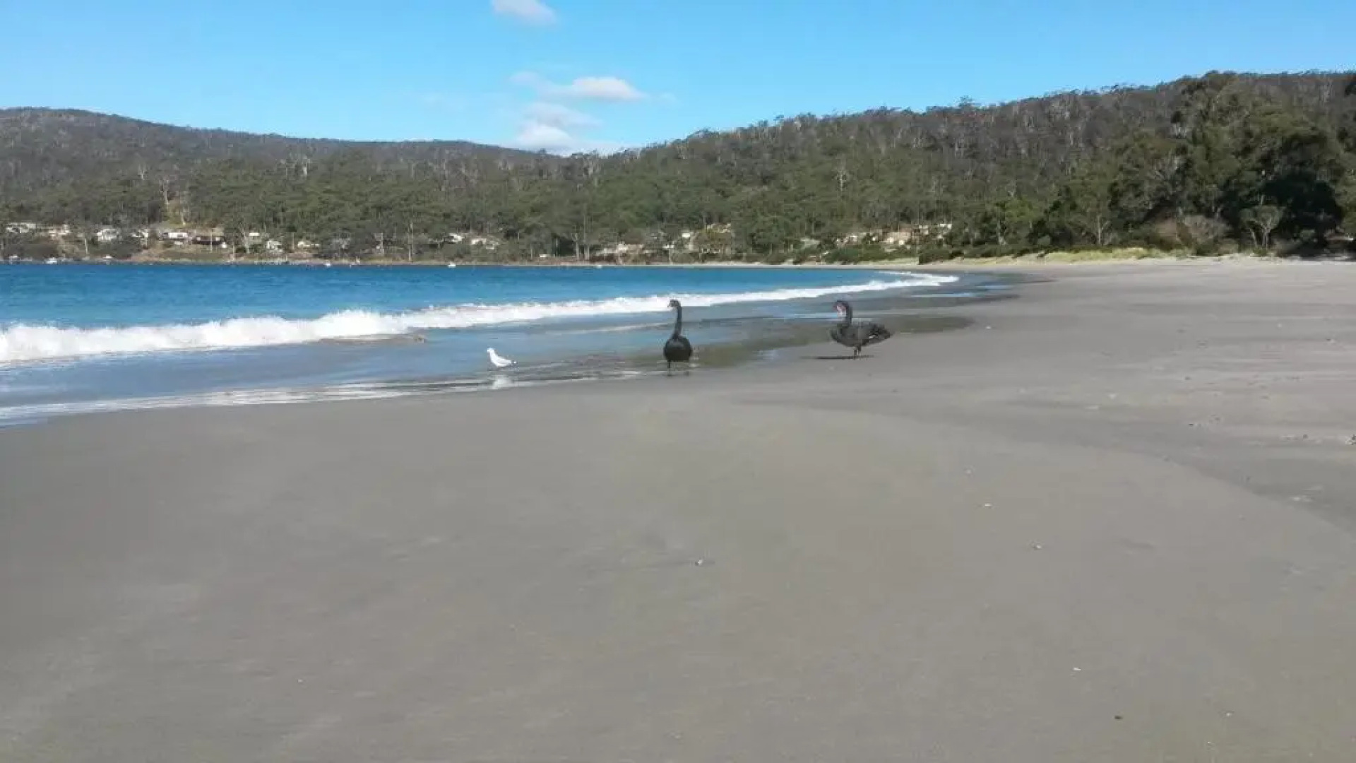 Adventure Bay Beach House