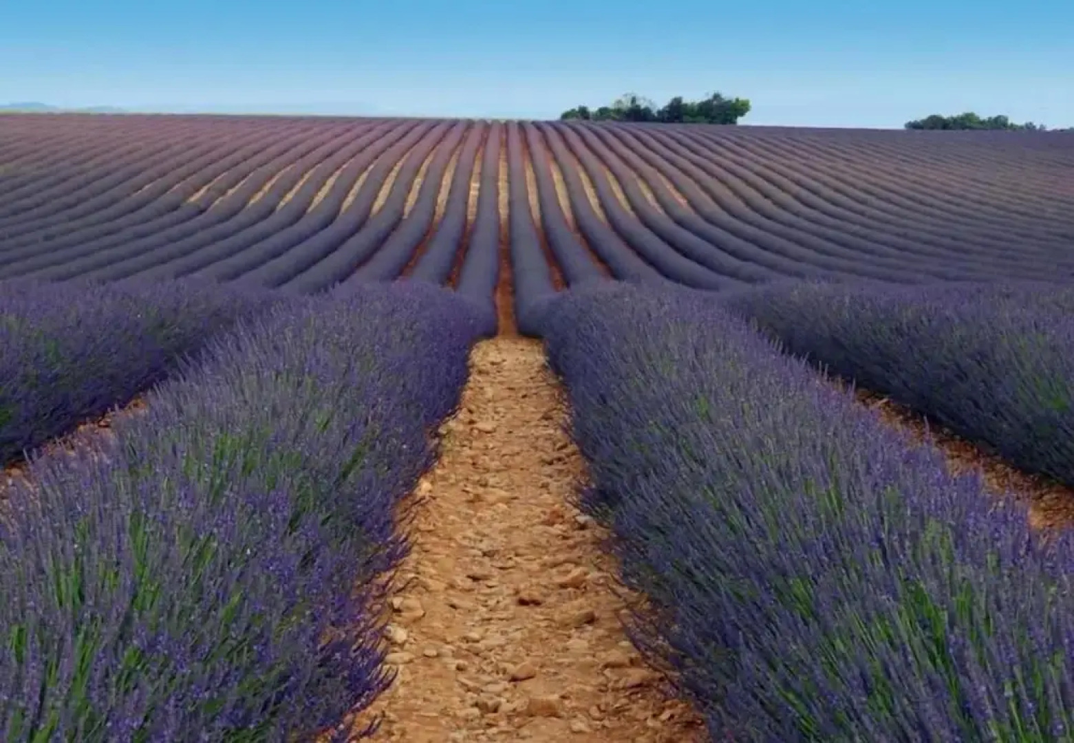 Le Trésor Des Templiers