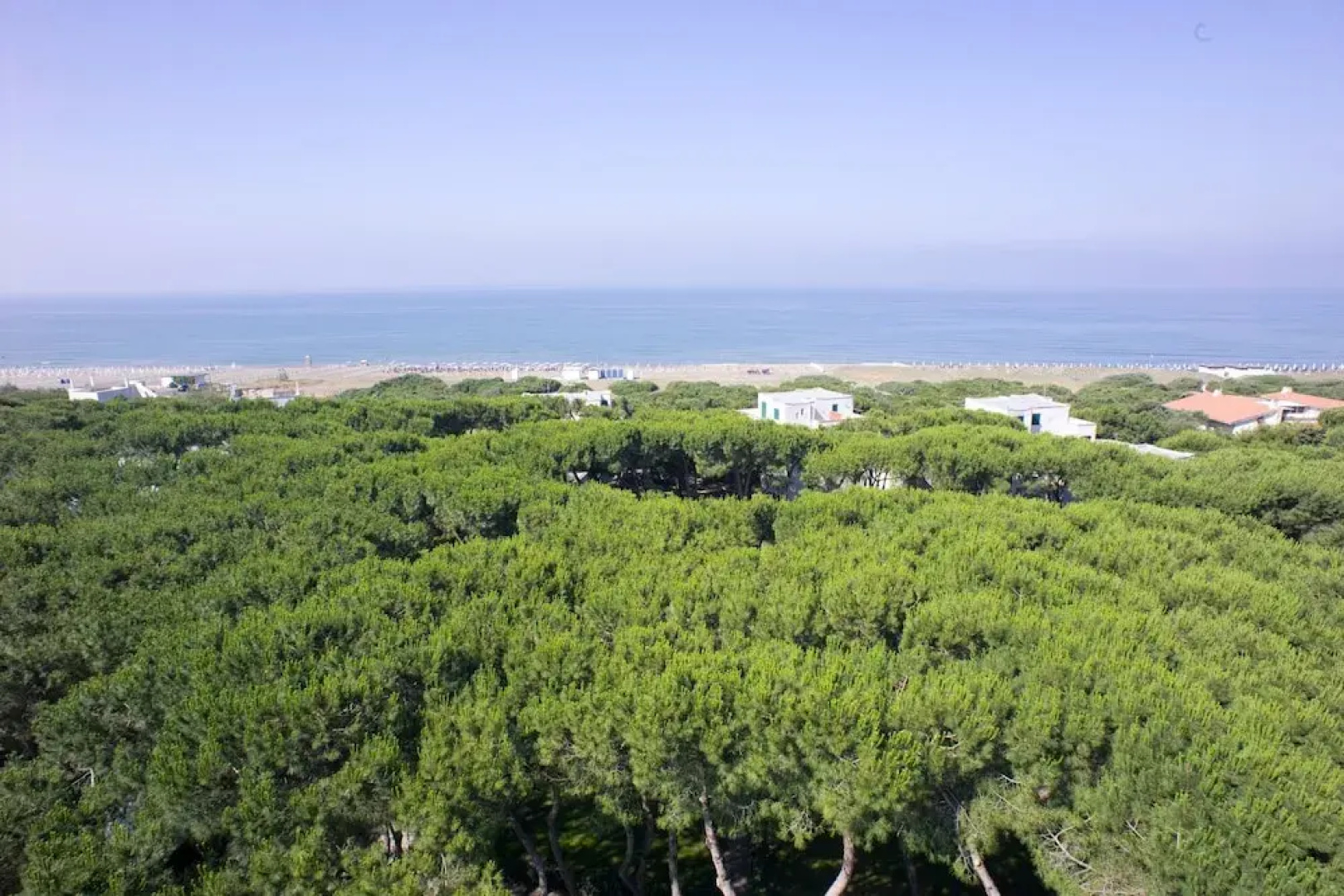 Giulivo C2