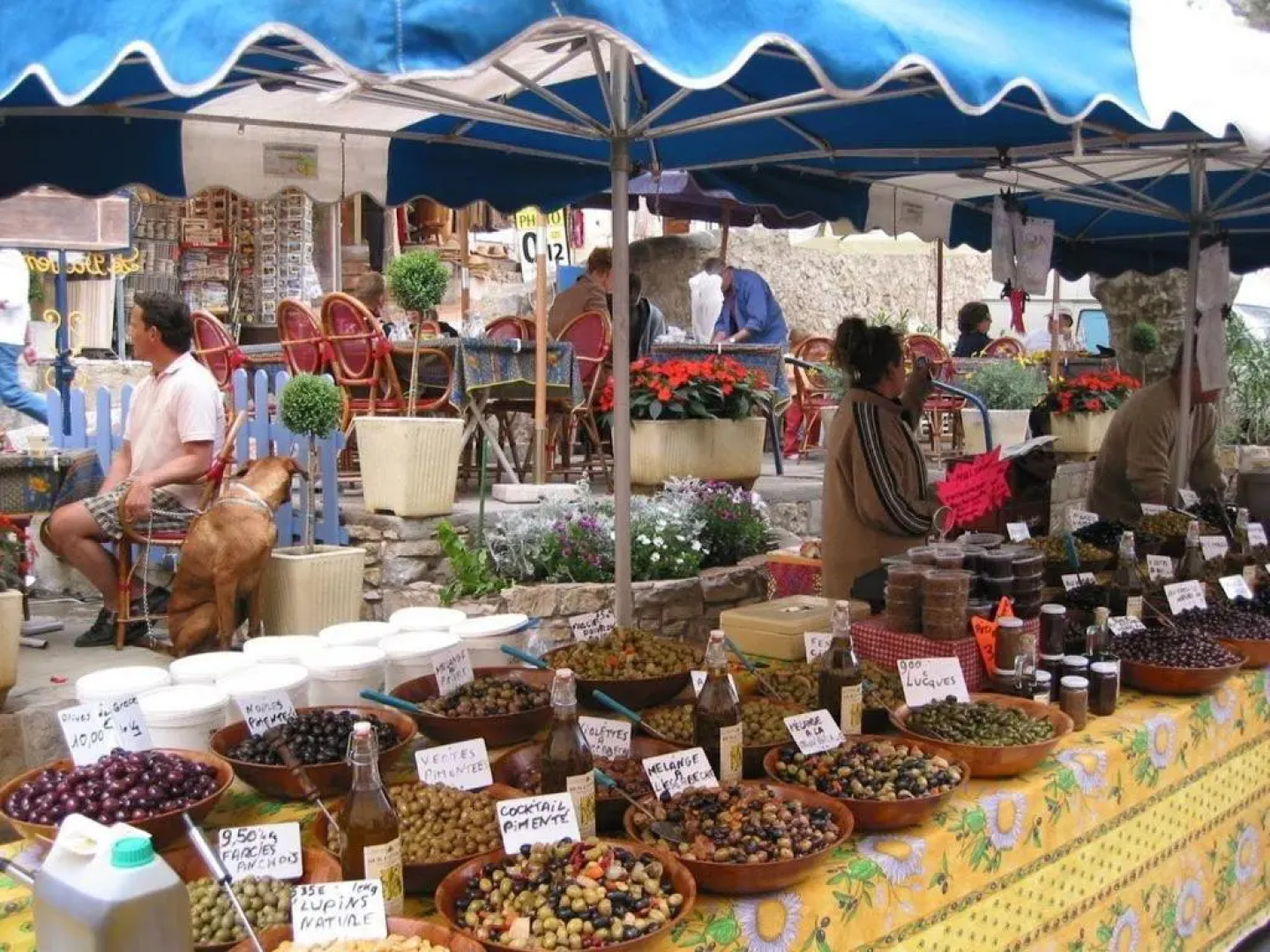 Rue des Oliviers with Swimming Pool