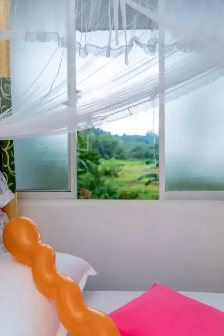 Rainforest Holiday Inn