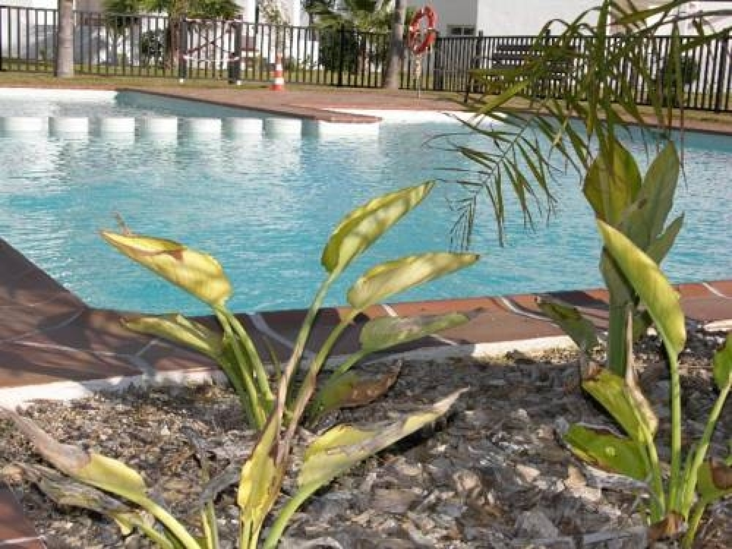 Las Terrazas De La Torre Golf Resort