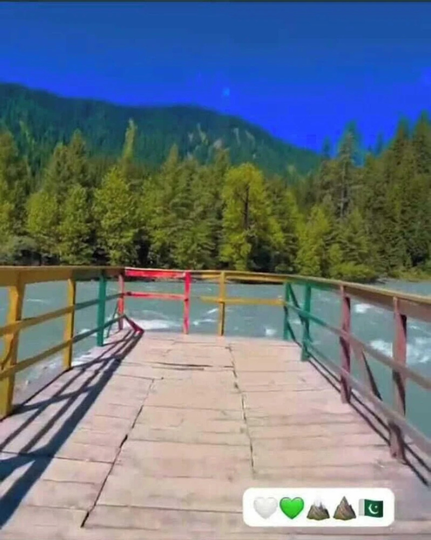 Kashmir Star Guest House & Family Resort