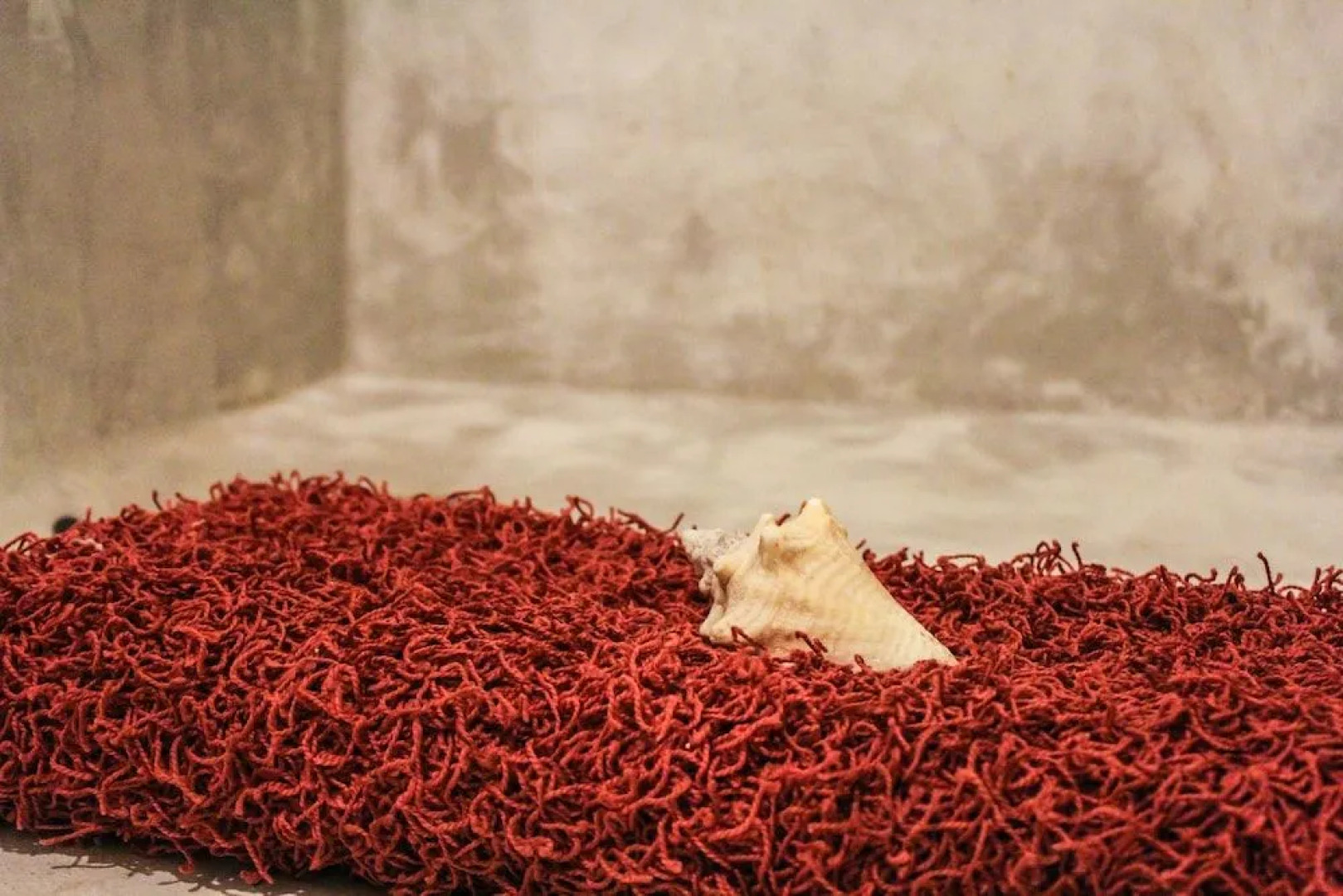 Secret Garden Tulum Hotel