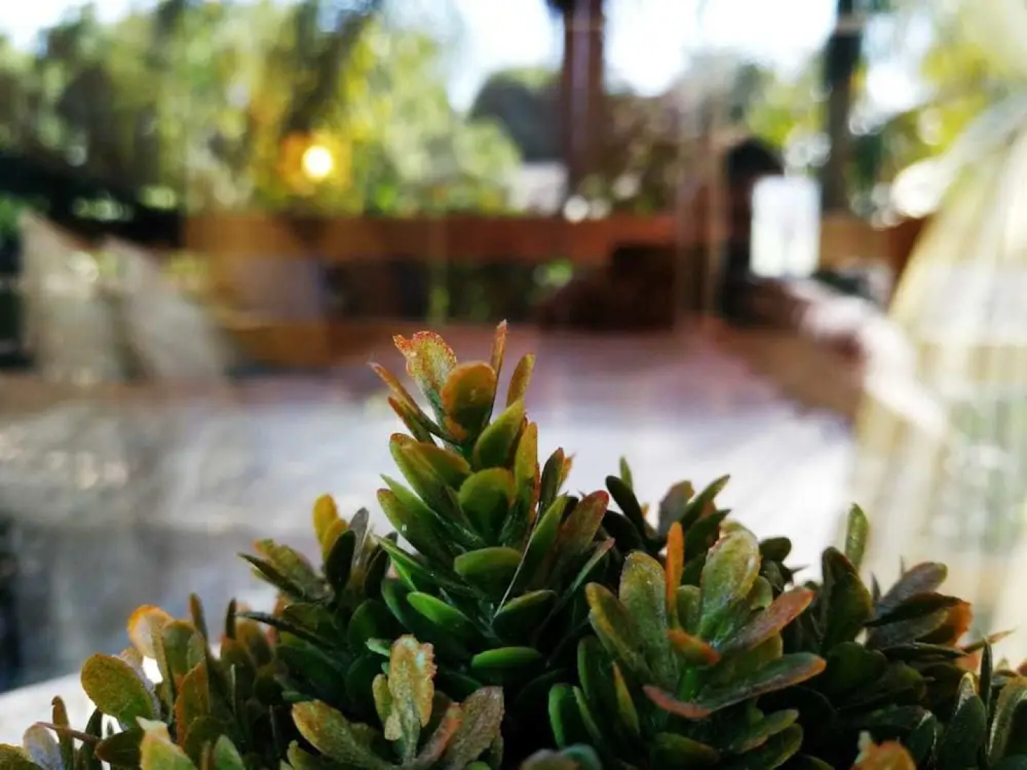 Willow Manor Brits Guest House