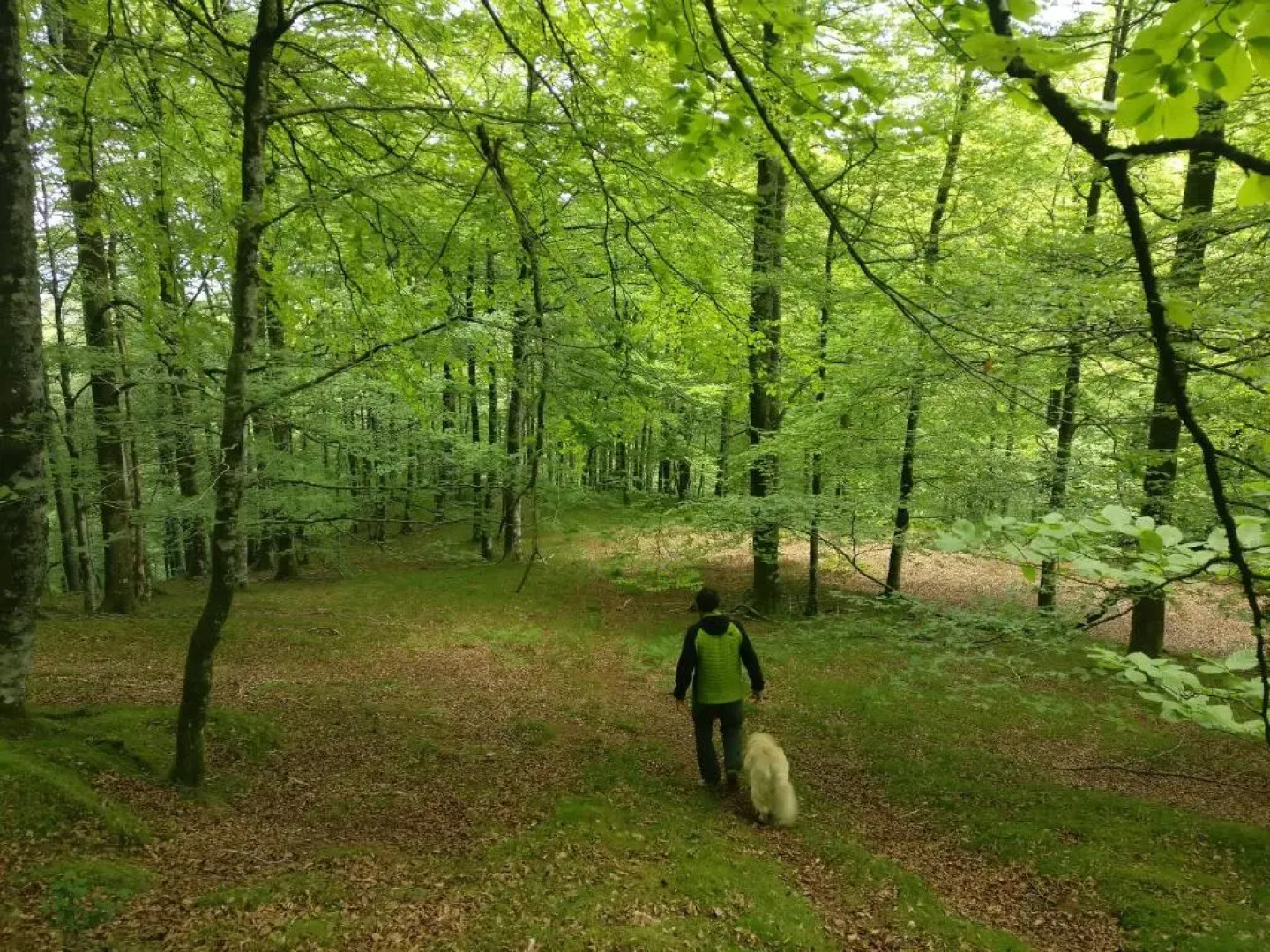 Bed and breakfast Flor de Vida