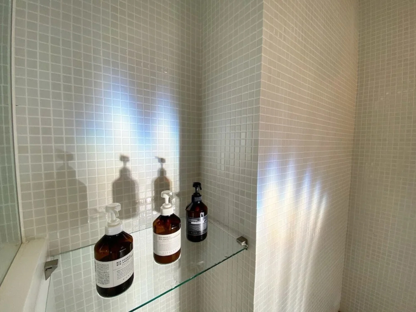 Blue Steak Wonder Nagahama