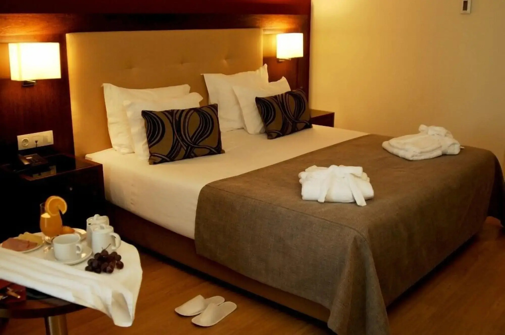 Palace Hotel & Spa Termas de S. Tiago