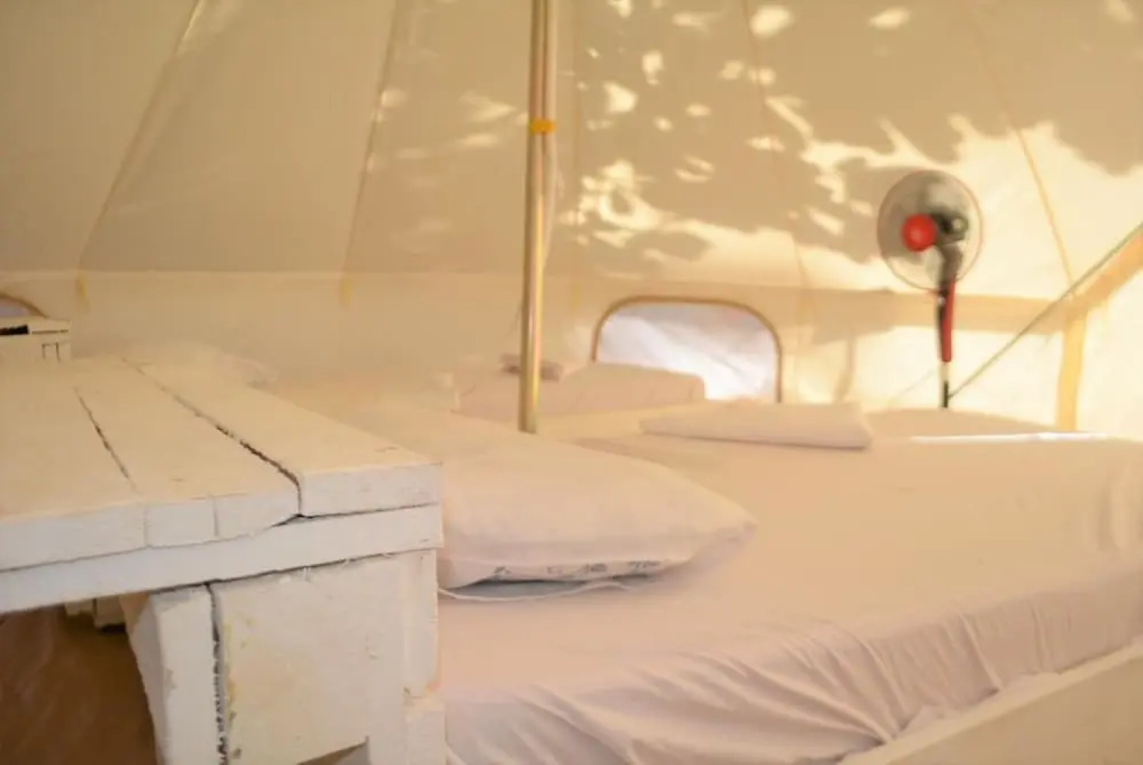 Tulia House - Hostel