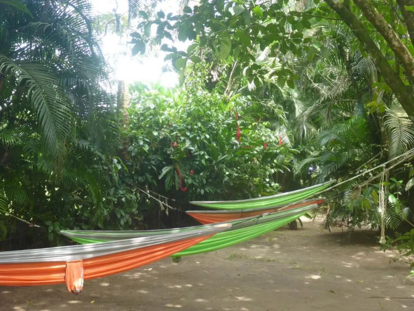 Aracari Garden Hostel