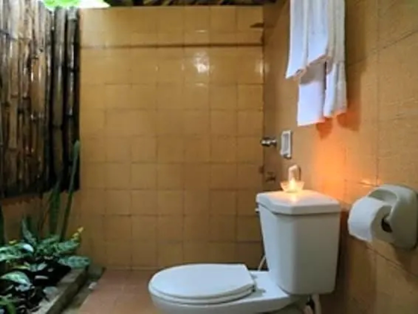 Island Garden Resort in Pangubatan