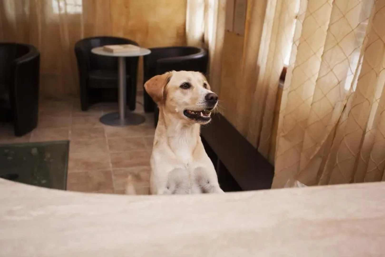 Residence Conchiglia Aparthotel