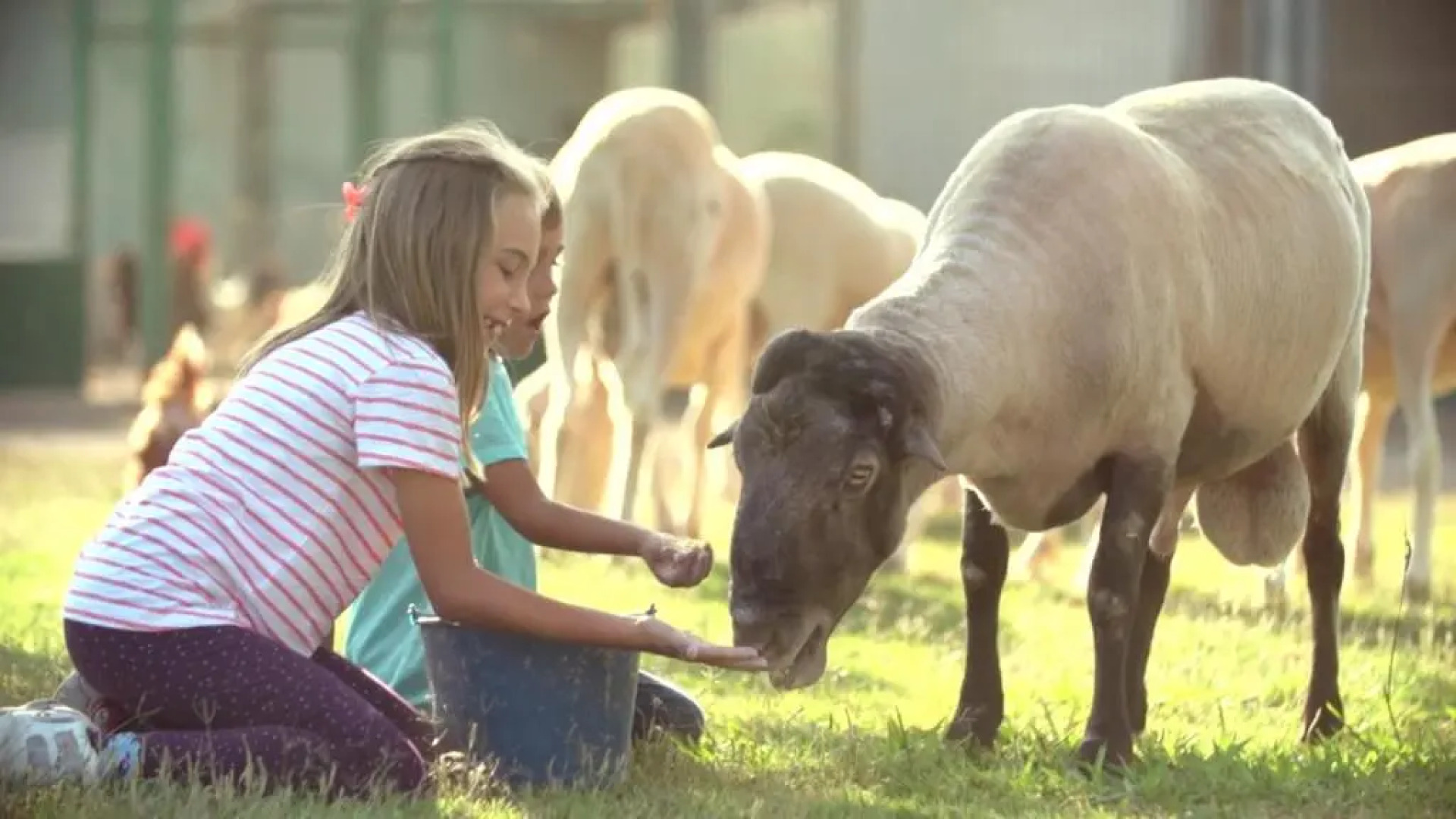 Devesa Gardens Camping & Resort