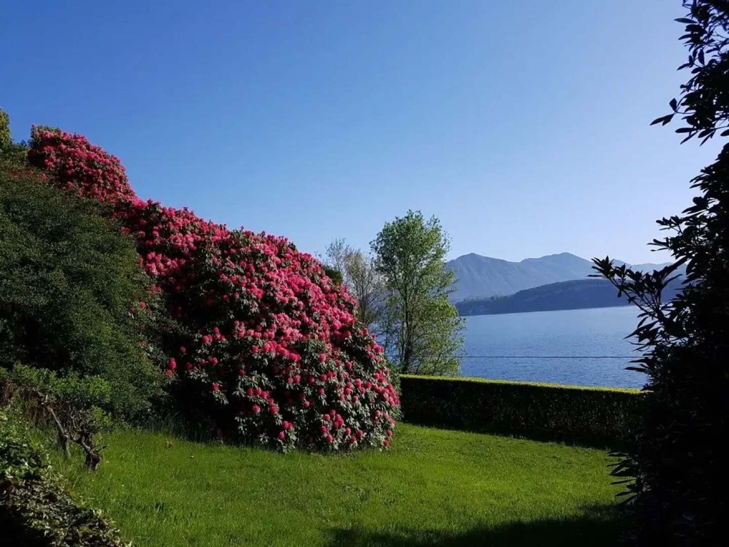 BMP Apartment Azalea