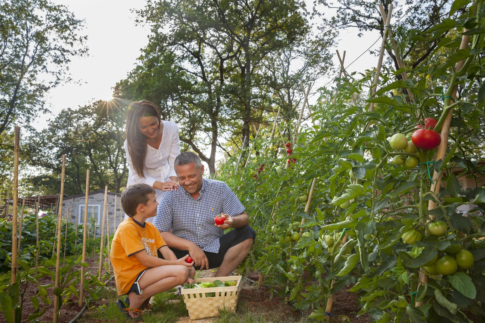 Aminess Planet Camping Maravea Holiday Homes