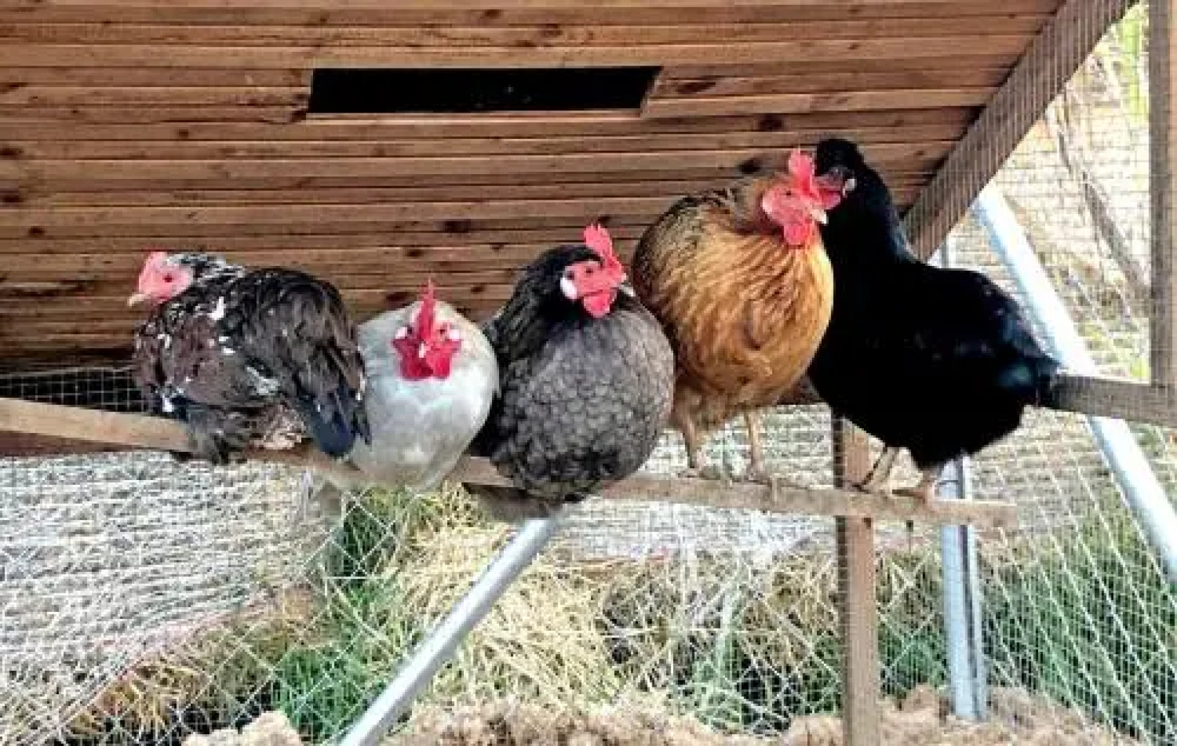 Casa Rural Can Miquel