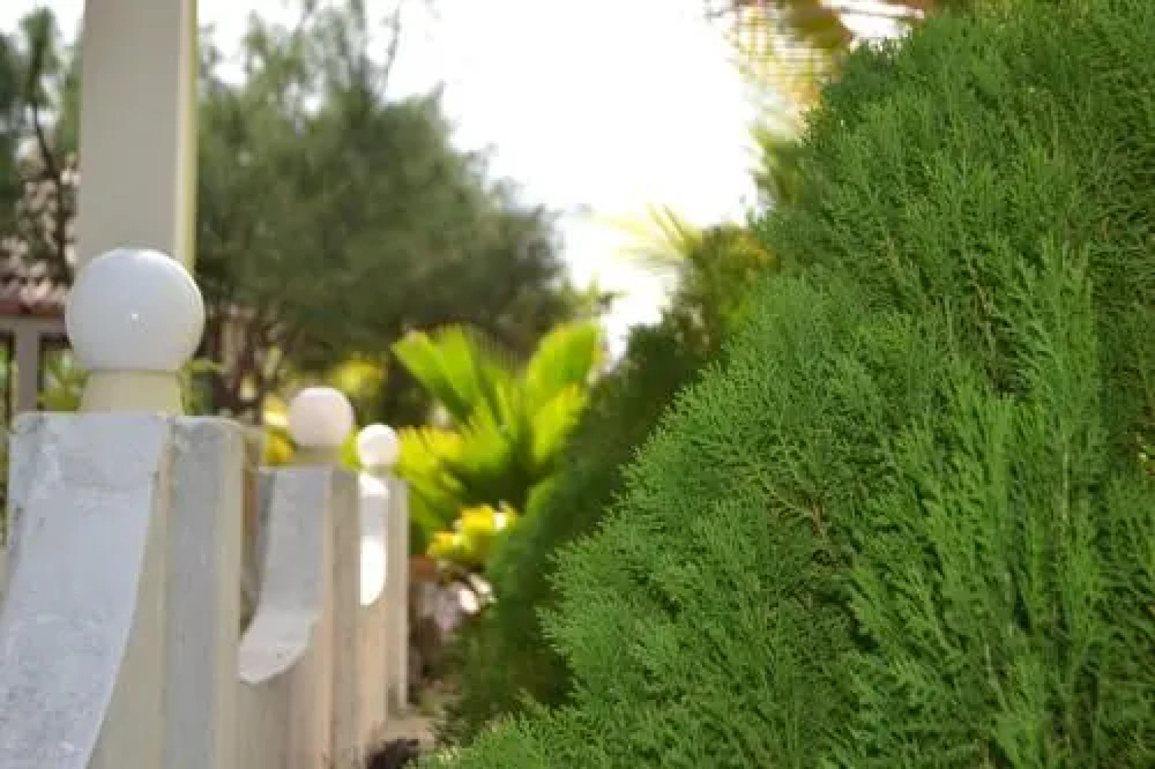 Allai Samudra Beach Resort