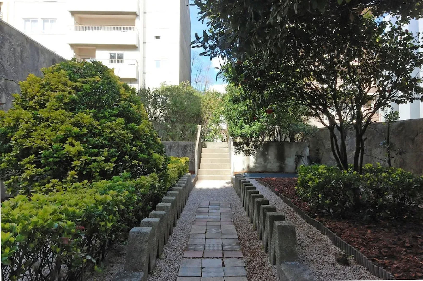 Surfivor Porto Surf Hostel